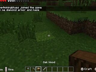 you won't believe these weirdest worst minecraft versions you've never heard of