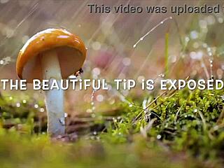 roxy fox demos foreskin play against circumcised cocks in close-up penis tutorial