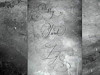 Vintage Pornography Explores Hairy Group Blowjobs and Beaver Scenes