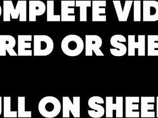 i got wrecked by hung black stranger's massive cock full vid